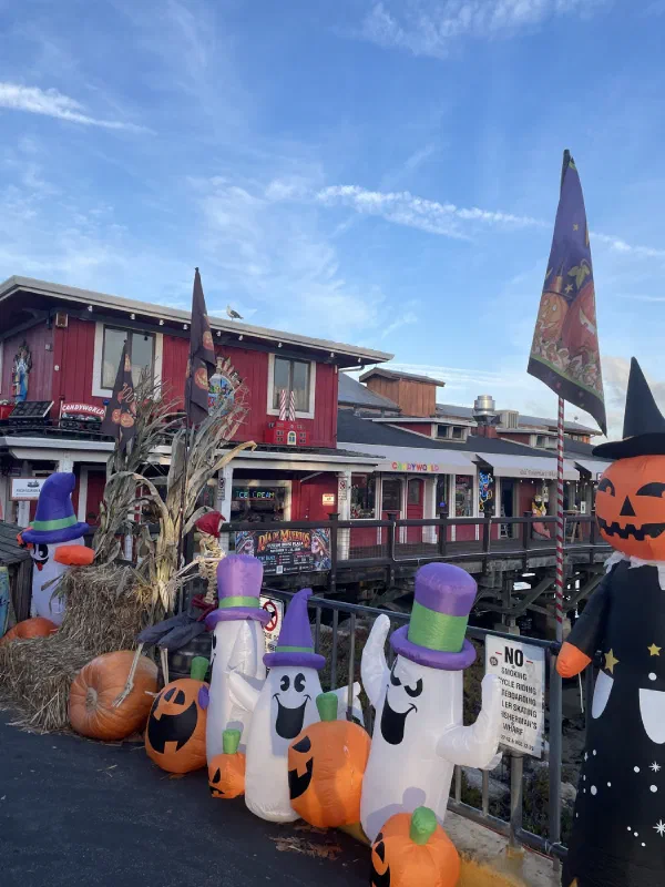 A colorful outdoor shop display with pumpkins and seasonal decorations.