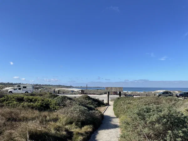 A sandy path leads through low coastal plants toward the blue ocean.