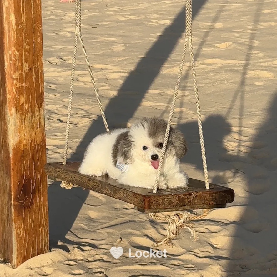 Quantum Machine Learning